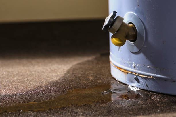 Best Flood restoration services  in Maple Bluff, WI