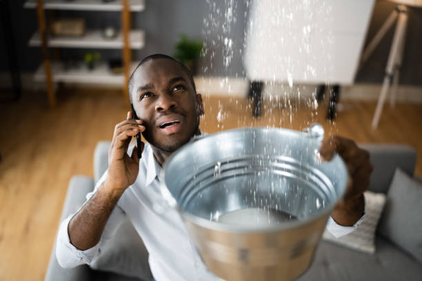 Best Mold removal after water damage  in Maple Bluff, WI