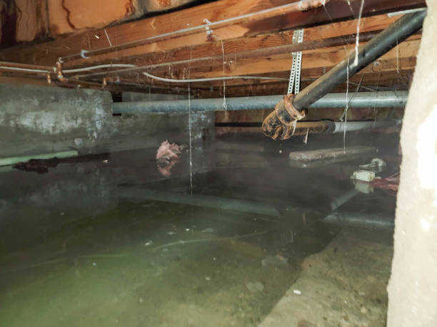 Best Fire Damage Restoration  in Maple Bluff, WI