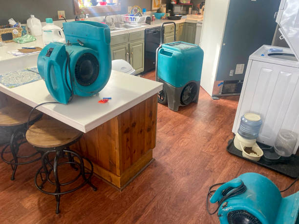 Best Flooded house restoration  in Maple Bluff, WI