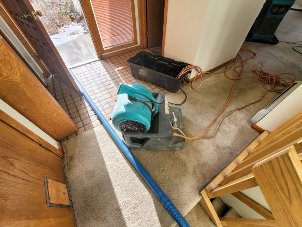 Best Residential water damage restoration  in Maple Bluff, WI