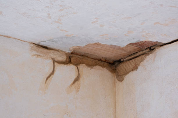 Best Fire Damage Restoration  in Maple Bluff, WI