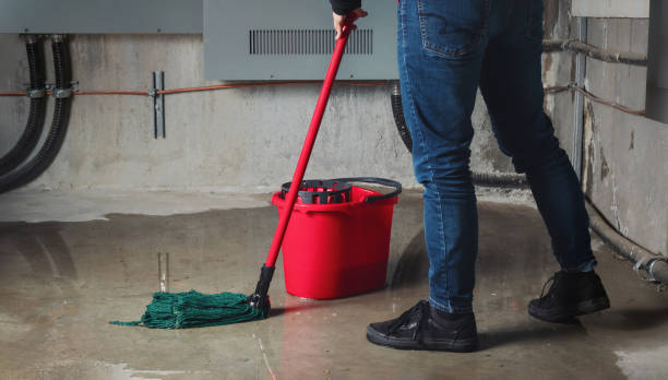 Best Water damage restoration mold remediation  in Maple Bluff, WI