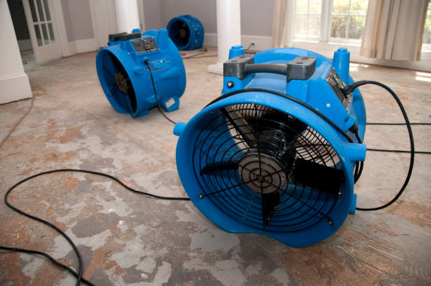 Best Sewage cleanup and water damage restoration  in Maple Bluff, WI