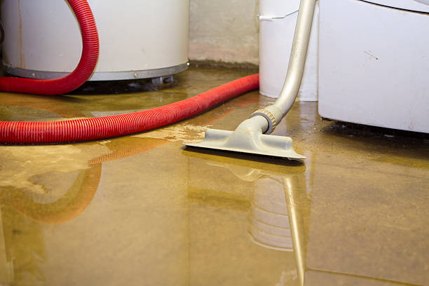 Best Water damage restoration near me  in Maple Bluff, WI
