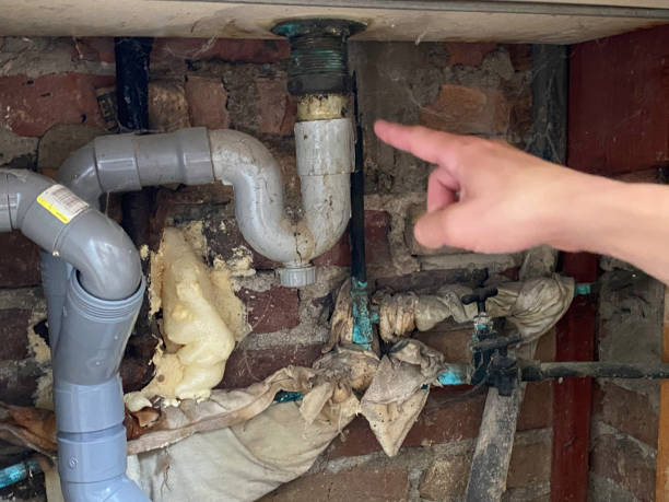 Best Professional water damage repair  in Maple Bluff, WI