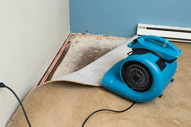 Local water damage restoration in Maple Bluff, WI